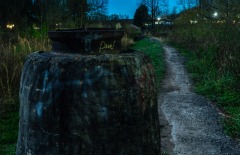 GK_Dave-at-Night_220317_0001