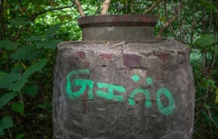 GK_Gino_210701_0001