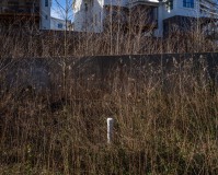 GK_NeighborsIII_220124_0001