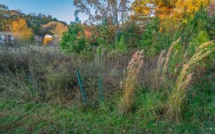 GK_Tapestry-Fall-sunshine-II_211122_0001