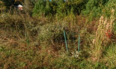 GK_Tapestry-Fall-sunshine_211027_0001