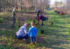 Volunteer Planting