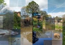 Tapestry-Composite